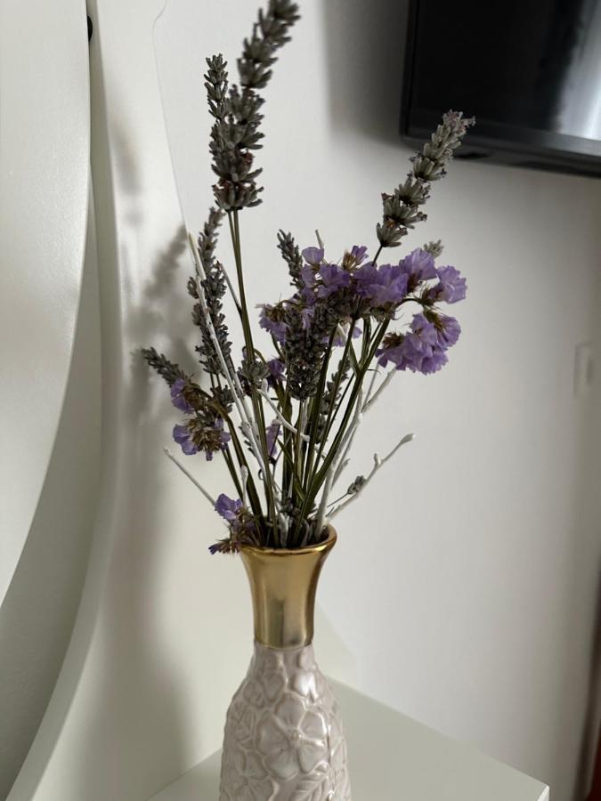 אוגולין Luxury City Rooms מראה חיצוני תמונה